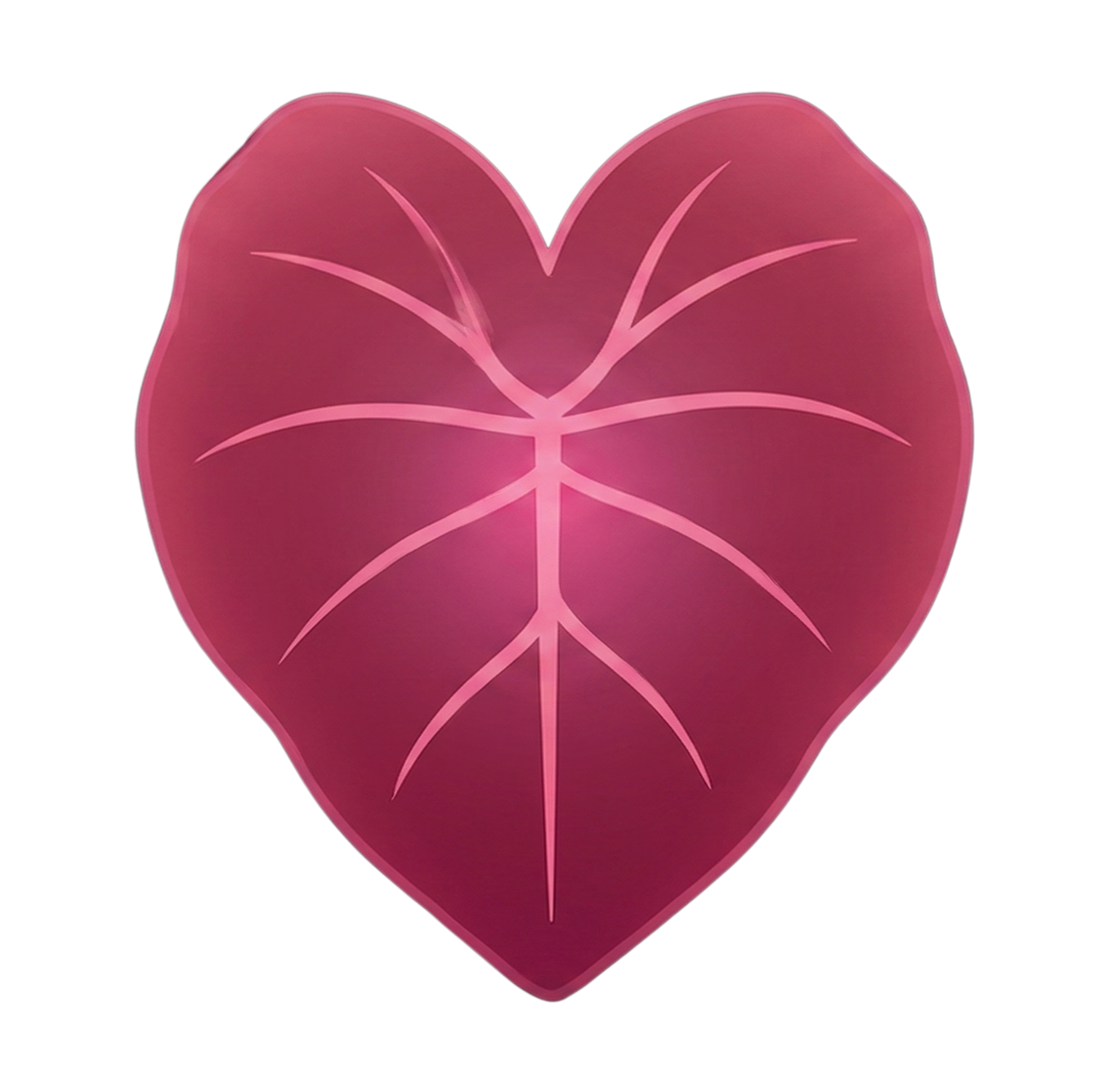 Kalo leaf